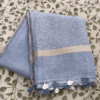 Linen Pastle Blue Whole Saree